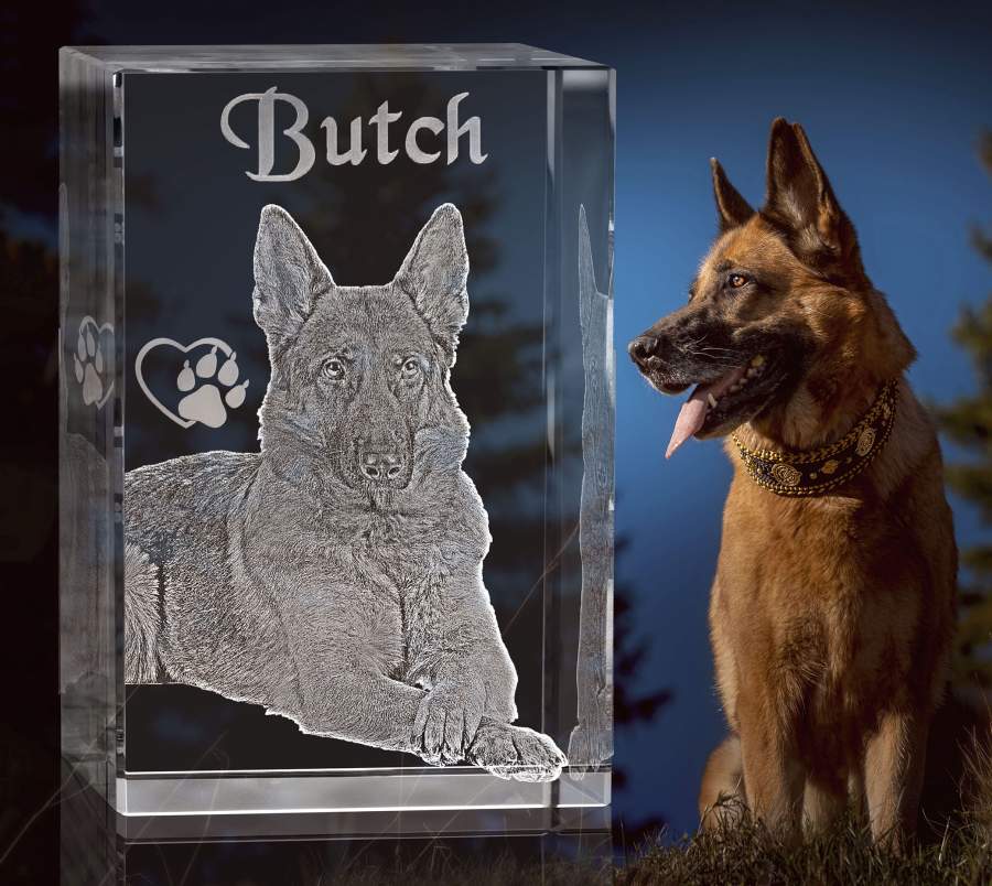 Grabstein für Hunde Freudenschmiede